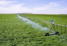 SOTILMA : Une révolution technologique au service de l’agriculture pour une gestion optimale de l’irrigation