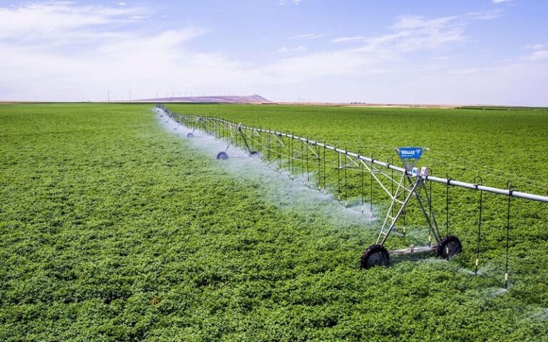 SOTILMA : Une révolution technologique au service de l’agriculture pour une gestion optimale de l’irrigation