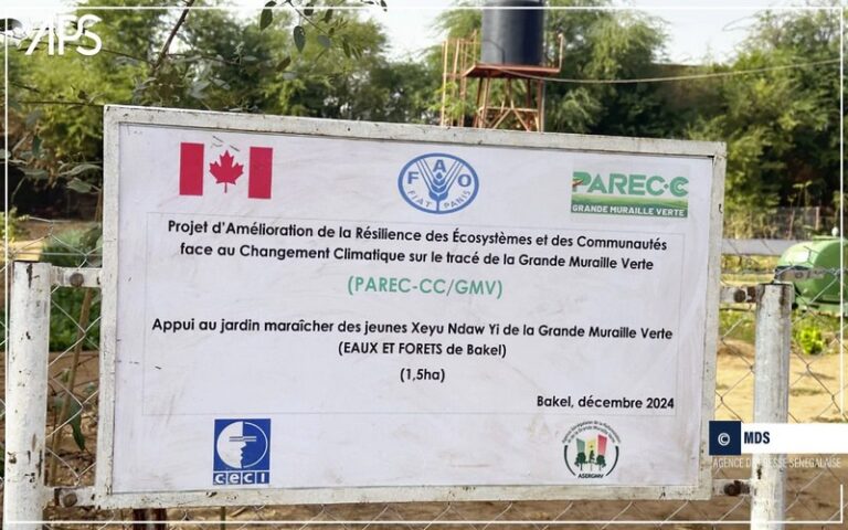 Sénégal : Le projet PAREC-CC renforce la résilience des communautés face au changement climatique à Bakel