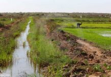 Sénégal : Partage d’outils de planification pour renforcer la résilience climatique au niveau de la commune de Matam