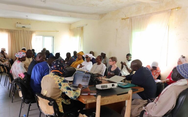 Changement climatique : Le projet « Seneya » pour renforcer la résilience des communautés face aux défis environnementaux à Sédhiou (Sénégal)