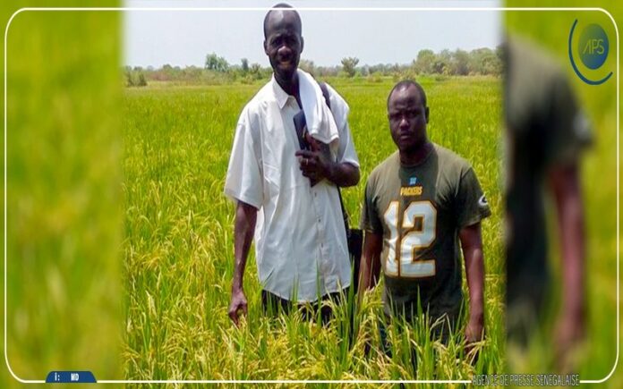 Deux Sénégalais reçoivent l'agrément pour la distribution d'un fertilisant naturel innovant au Sénégal