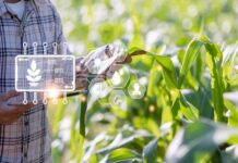 E-Agribusiness : Comment la révolution numérique change l’agriculture au Togo et en Afrique