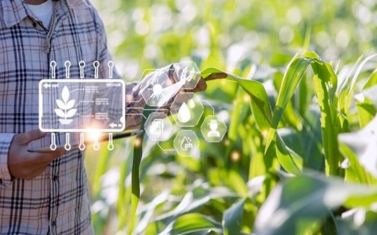 E-Agribusiness : Comment la révolution numérique change l’agriculture au Togo et en Afrique