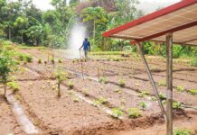 Forum régional sur l’irrigation au Sahel : Dakar, point de rencontre stratégique pour renforcer la résilience climatique et la sécurité alimentaire en Afrique de l’Ouest