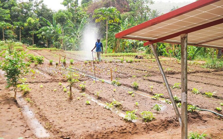 Forum régional sur l’irrigation au Sahel : Dakar, point de rencontre stratégique pour renforcer la résilience climatique et la sécurité alimentaire en Afrique de l’Ouest