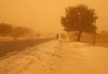 Harmattan : impact sanitaire et environnemental du vent poussiéreux en Afrique de l’Ouest et comment se protéger