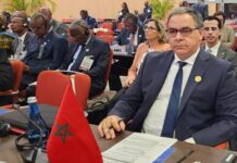 Impact du changement climatique sur la paix et la sécurité en Afrique : L’appel de Mohamed Arrouchi au CPS de l’UA