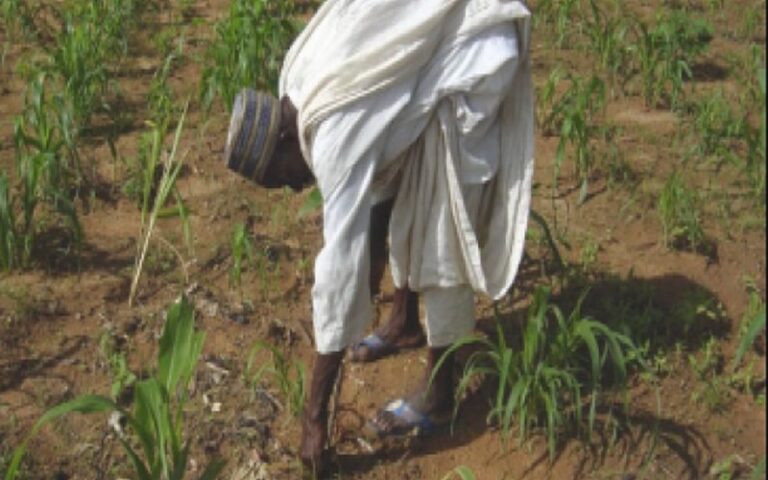 Investissements de 1265 milliards de FCFA dans l’agriculture au Sénégal : la FAO, le FIDA et la Coopération Belge s’engagent pour un secteur plus productif