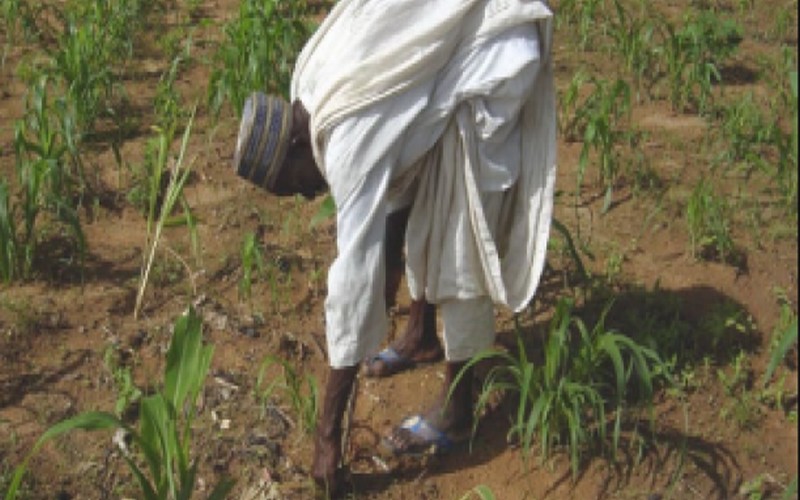 Investissements de 1265 milliards de FCFA dans l’agriculture au Sénégal : la FAO, le FIDA et la Coopération Belge s’engagent pour un secteur plus productif