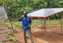 Irrigation solaire performante et accessible : Le projet de l’ONG Électriciens Sans Frontières pour soutenir l’agriculture togolaise