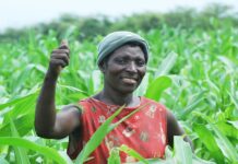 La Corée du Sud investit 5,7 millions de dollars pour soutenir la résilience climatique et le développement rural au Togo