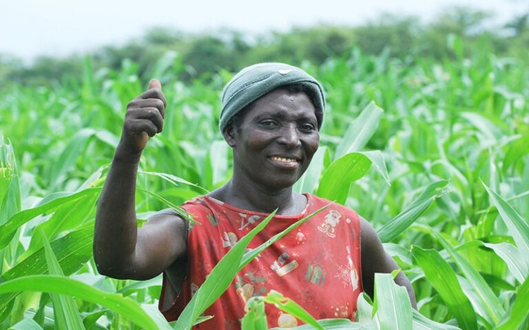 La Corée du Sud investit 5,7 millions de dollars pour soutenir la résilience climatique et le développement rural au Togo