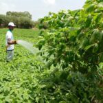 Le FIDA au Bénin : Transformations durables des communautés rurales grâce à l&rsquo;agriculture et à la résilience climatique