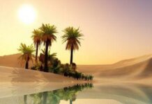 Le Maroc obtient 496 millions $ du FMI pour renforcer sa résilience climatique : un prêt stratégique pour soutenir l’économie face aux défis environnementaux