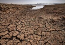 Le Maroc plaide pour une souveraineté climatique en Afrique : Initiatives, financement et coopération pour faire face au changement climatique