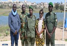 Le rôle essentiel des femmes dans la protection du patrimoine culturel et naturel du Sénégal mis en lumière à Pikine