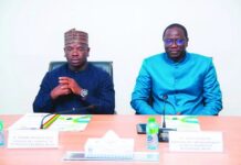 Les décideurs africains exhortés à utiliser les énergies renouvelables comme moteur de croissance durable et d’inclusion sociale pour l’Afrique