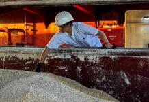 Les exportations alimentaires russes vers l’Afrique augmentent de 19 % en 2024 : La Russie renforce sa présence sur le marché africain