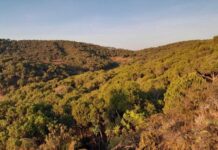 Madagascar et le Congo-Brazzaville : Une coopération renforcée pour protéger les forêts et lutter contre la déforestation