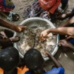 Malnutrition : Le Sommet Nutrition pour la Croissance s’ouvre à Paris pour lutter contre ce fléau responsable de la moitié des décès infantiles