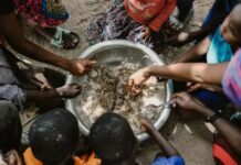 Malnutrition : Le Sommet Nutrition pour la Croissance s’ouvre à Paris pour lutter contre ce fléau responsable de la moitié des décès infantiles