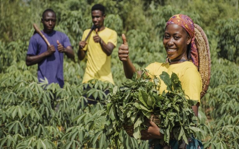Météo-Bénin : Prévisions saisonnières favorables pour la campagne agricole 2025 – pluies, semis et conseils pour les producteurs