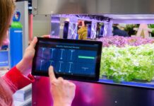 Partenariat stratégique Afrique-Europe autour de l’agritech : Révolutionner l’agriculture durable et réduire l’empreinte carbone