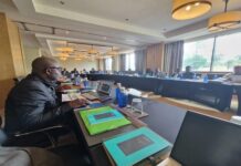 Réunion cruciale pour l’avenir du bassin du Congo : Un nouveau pacte pour la forêt et l’environnement