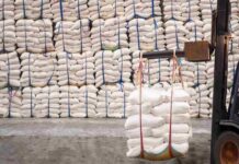 Sucre : Déficit mondial record de 4,8 millions de tonnes prévu pour 2024/2025, impactant le marché international