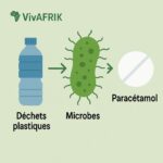 Des bactéries transforment les déchets plastiques en paracétamol : une avancée révolutionnaire venue d’Édimbourg ♻️
