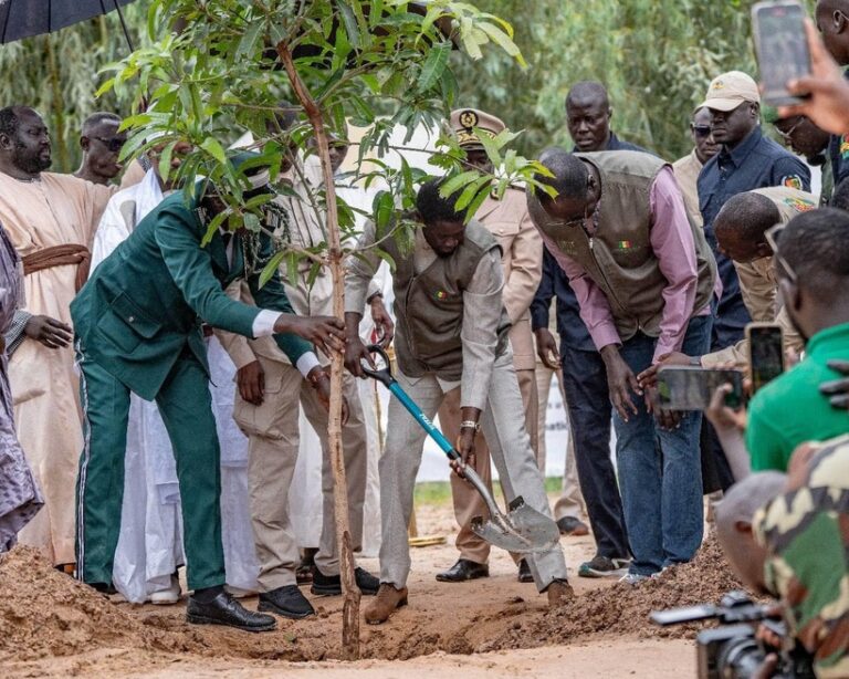 Campagne de reboisement 2025 au Sénégal  : la région de Kolda vise la plantation de 750 000 arbres