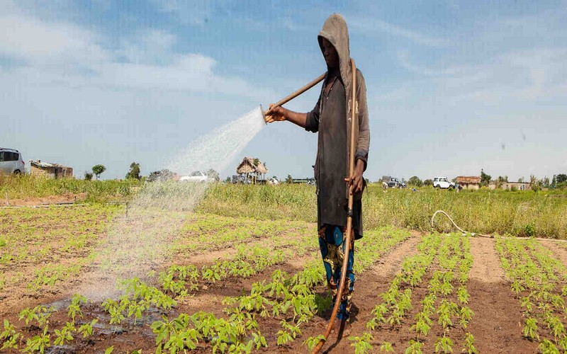 Bénin : Améliorer l’accès des femmes et des jeunes aux terres agricoles