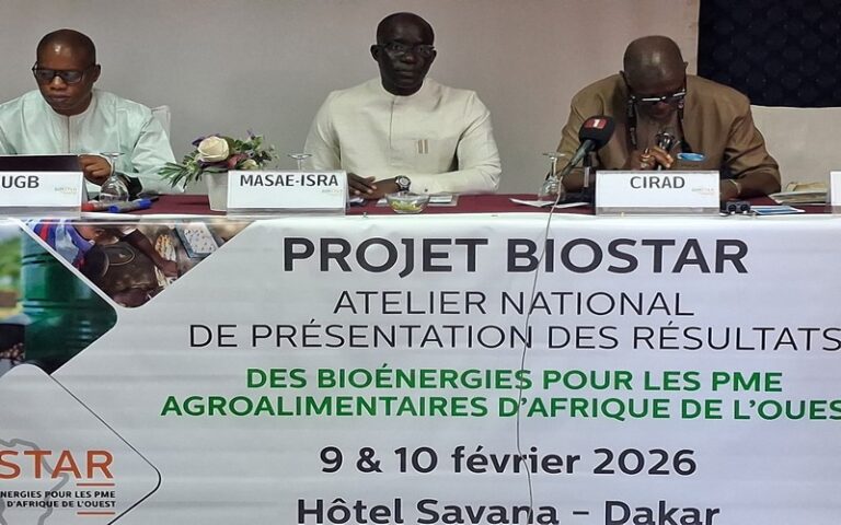 Bioénergie et agro-industrie : Au Sénégal, le projet BioStar trace la voie de solutions durables pour les PME