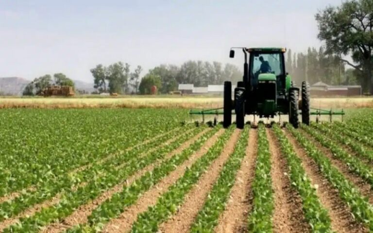 Le retour des précipitations redonne espoir au monde agricole marocain malgré des crues localisées