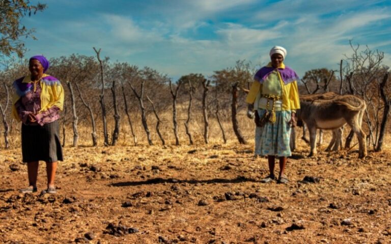 Namibie : plus de 80 % du pays confronté à l’aridité, un lourd impact économique et social