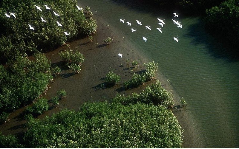 IMPAC 6 : à la Somone, le Sénégal lance le compte à rebours d’un rendez-vous mondial pour la protection des océans
