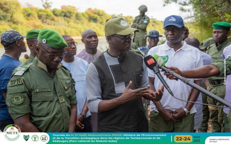 Sénégal : Le gouvernement renforce sa stratégie environnementale entre conservation du Parc national de Niokolo-Koba et développement local durable