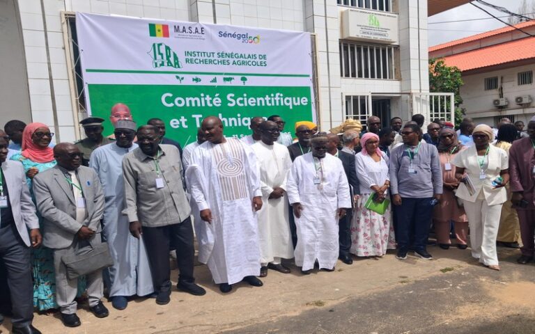 CST 2026 de l’ISRA : Le Sénégal place la recherche agricole au cœur de la souveraineté alimentaire
